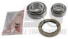 IVECO 8582739 Wheel Bearing Kit